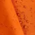 DSC01449